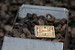 DSC08586.JPG