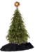Stromek