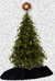 Stromek_2012