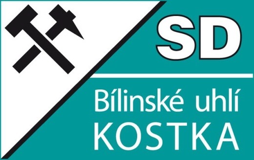 kostka logo sdas